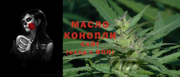 крисы Козельск