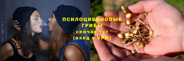ALPHA PVP Кинешма