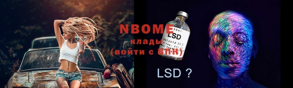 крисы Козельск