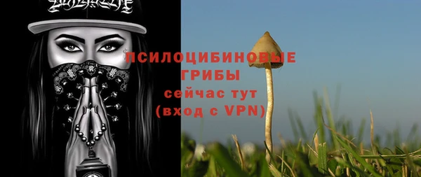 крисы Козельск