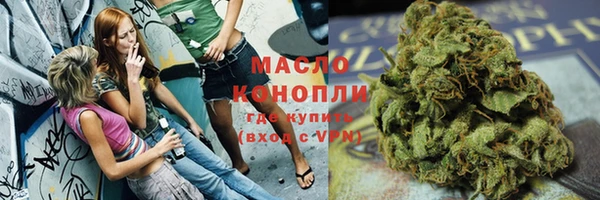 индика Киренск