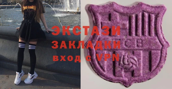крисы Козельск