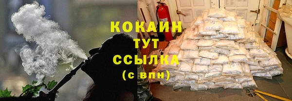 крисы Козельск