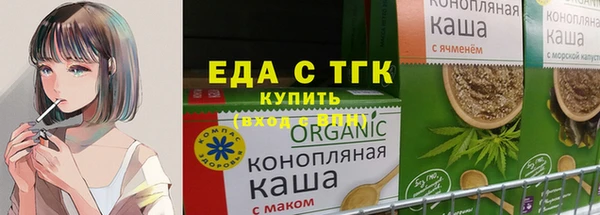 крисы Козельск